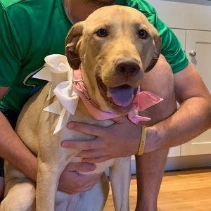 Meet your Posher, Brittney